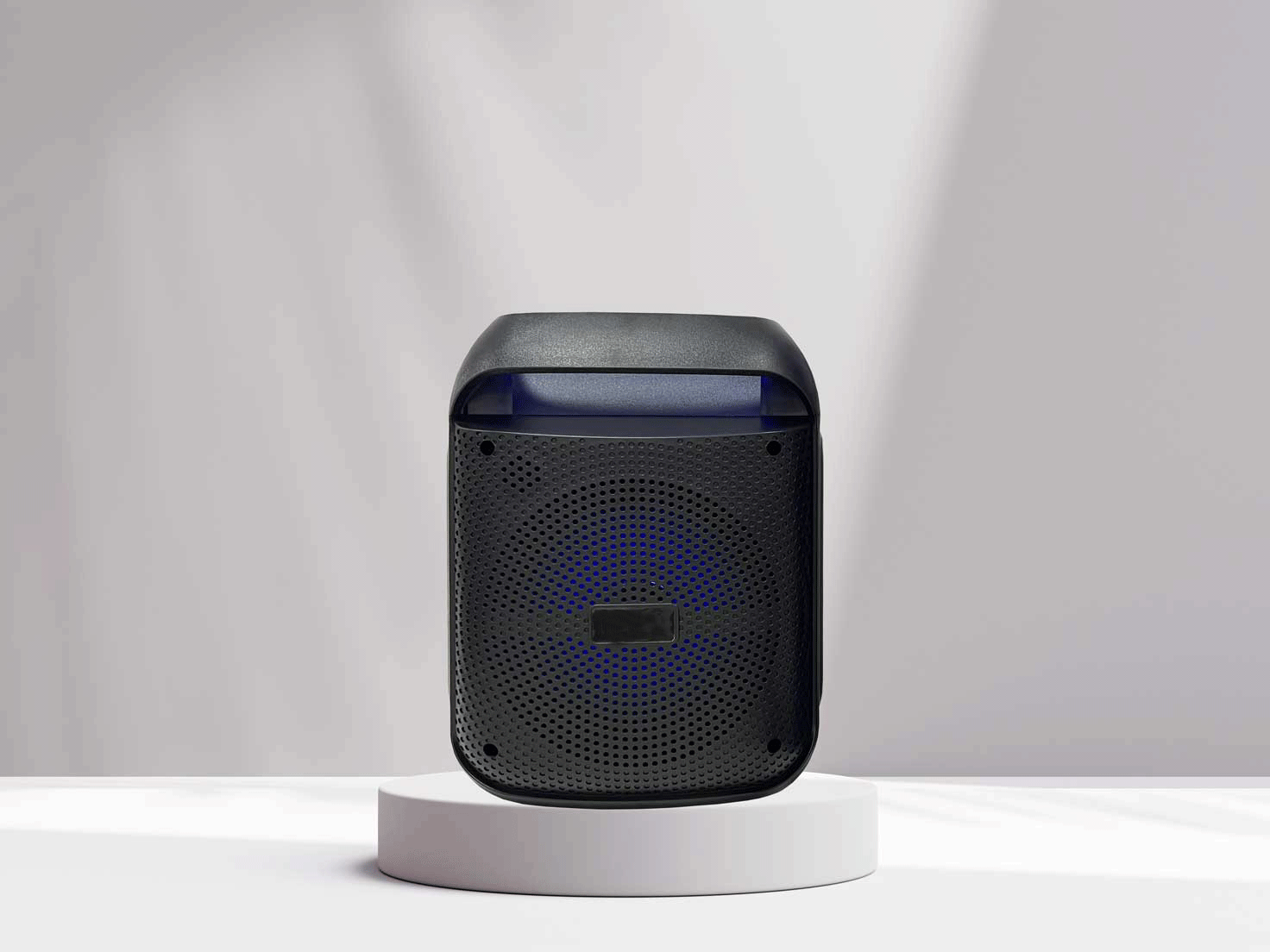 portable wireless speaker