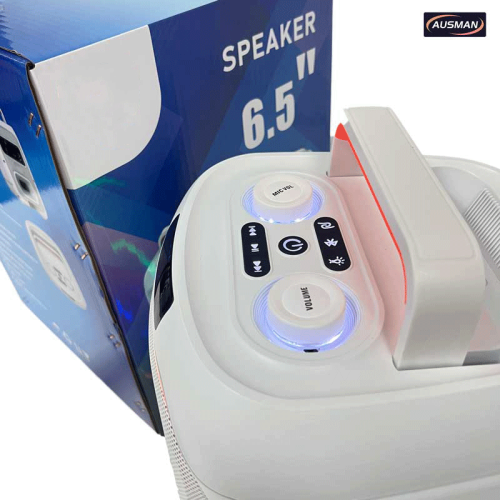 Wireless Portable Karaoke Party Box Speaker With Microphone