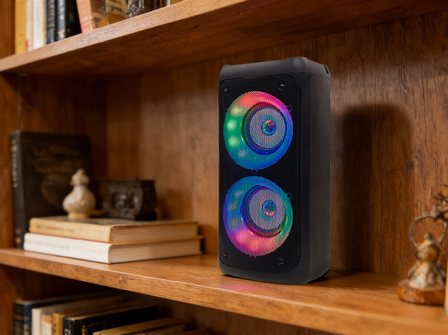 portable speaker for party