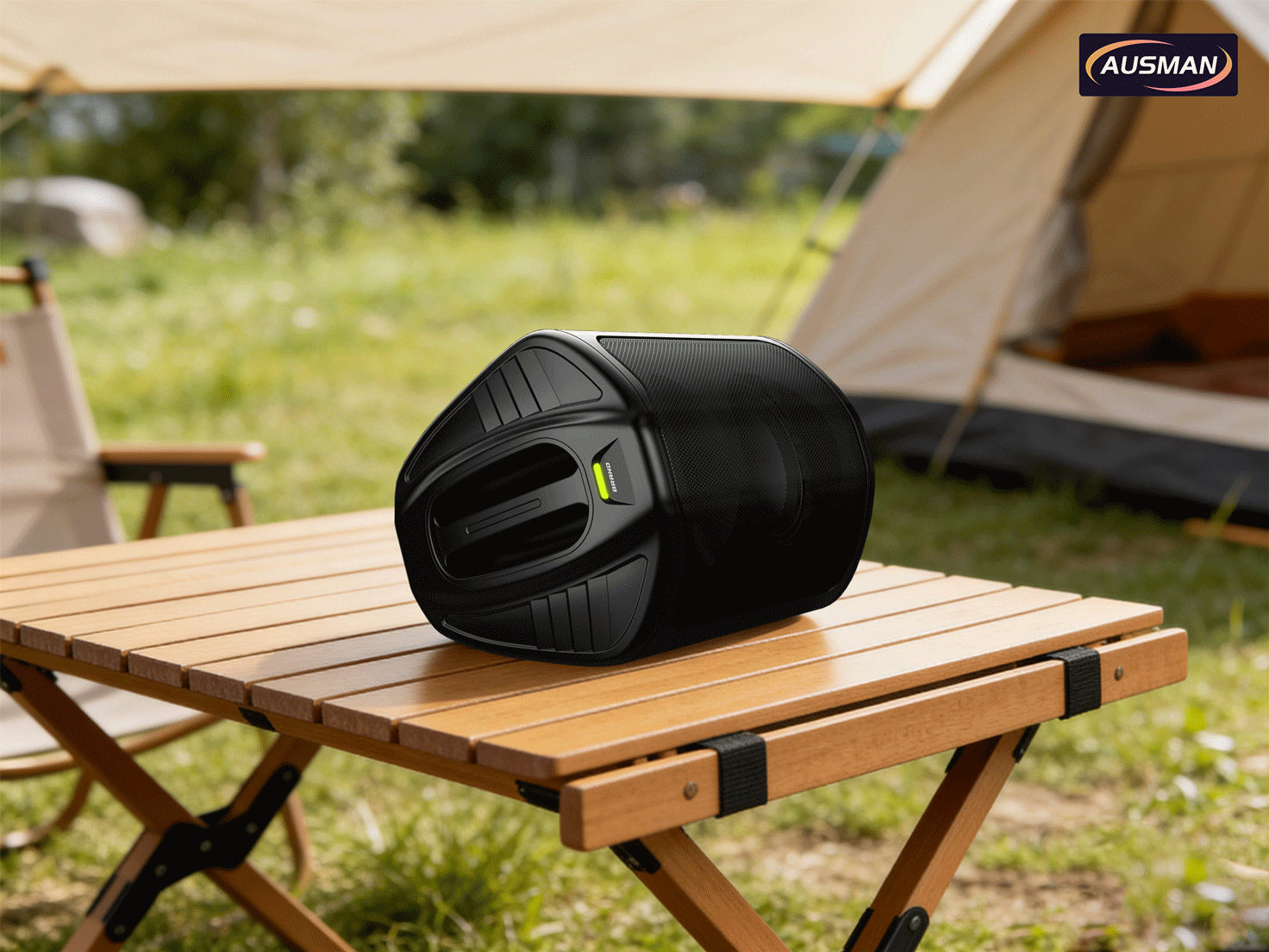 Portable PA Subwoofer