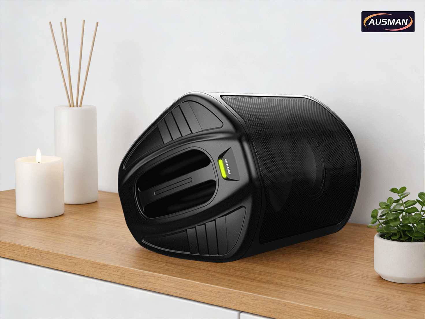 Portable PA System with Subwoofer