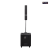 Portable Column PA System with 15-inch Subwoofer