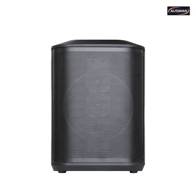 Portable Powered PA Pro Speaker With Bluetooth and Wireless Micophones