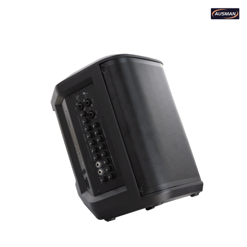 Portable Powered PA Pro Speaker With Bluetooth and Wireless Micophones