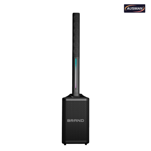 Altavoz de columna autoamplificado con micrófonos inalámbricos duales
