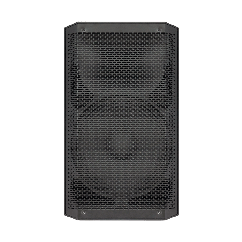 High-power 12 inch Portable Pa subwoofer