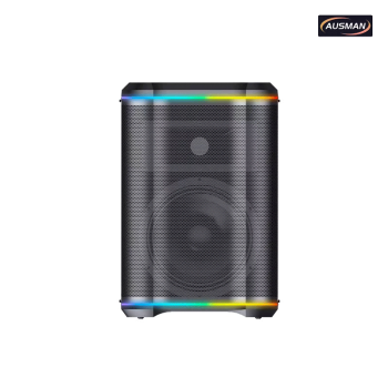Professional Karaoke Speaker and Portable Professional Sound System for Wholesale