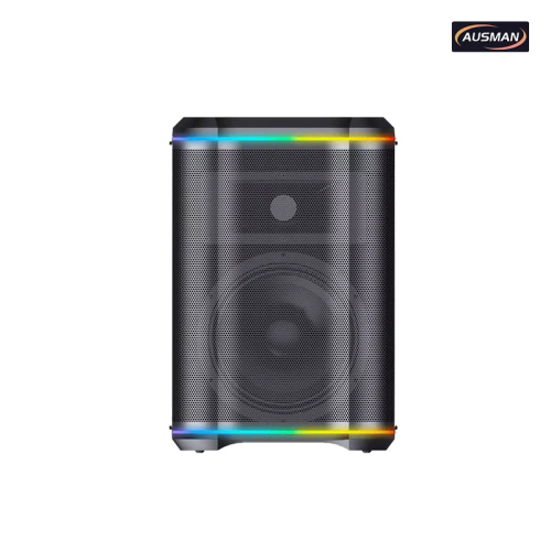 Altavoz de karaoke profesional y sistema de sonido profesional portátil para venta al por mayor.
