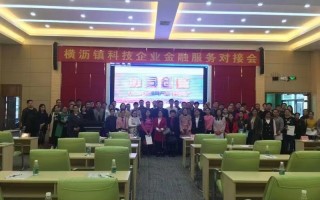 Nel dicembre 2017, DADISICK ha partecipato all'evento di matchmaking di servizi finanziari organizzato dal governo Hengli per le imprese ad alta tecnologia.