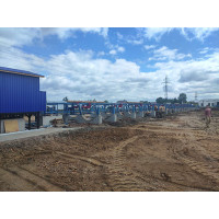 Log Sorting Automation with Measuring Light Curtain for Wood Processing Lines
