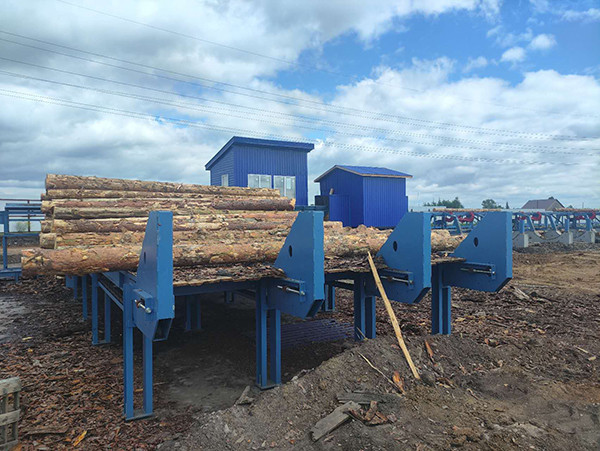 Using a measuring light curtain for automated log sorting and diameter measurement