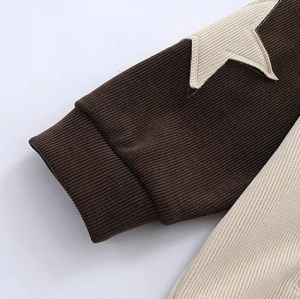 Großhandel benutzerdefinierte übergroße Hoodies Männer Verkauf Hersteller | Lieferant von Herren-Hoodies. Unterstützt OEM und ODM.