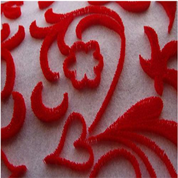 What is toothbrush embroidery ?