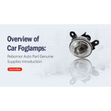 Overview of Car Foglamps:   Rebornor Auto Part Genuine Supplies Introduction BY:Peter