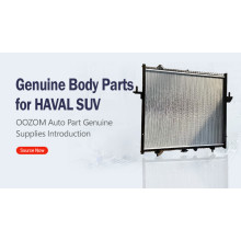 Genuine Radiator Assembly Spare Part for HAVAL Pick-up Cooling System- 1301100XPW01A