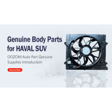 Genuine Radiator Assembly Spare Part for HAVAL Pick-up Cooling System- 1301100XPW01A