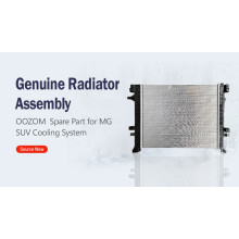 Genuine Radiator Assembly Spare Part for MG SUV Cooling System-10251943