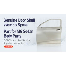 Genuine Door Shell Assembly Spare Part for MG SUV Body Parts-10318336-SEPP