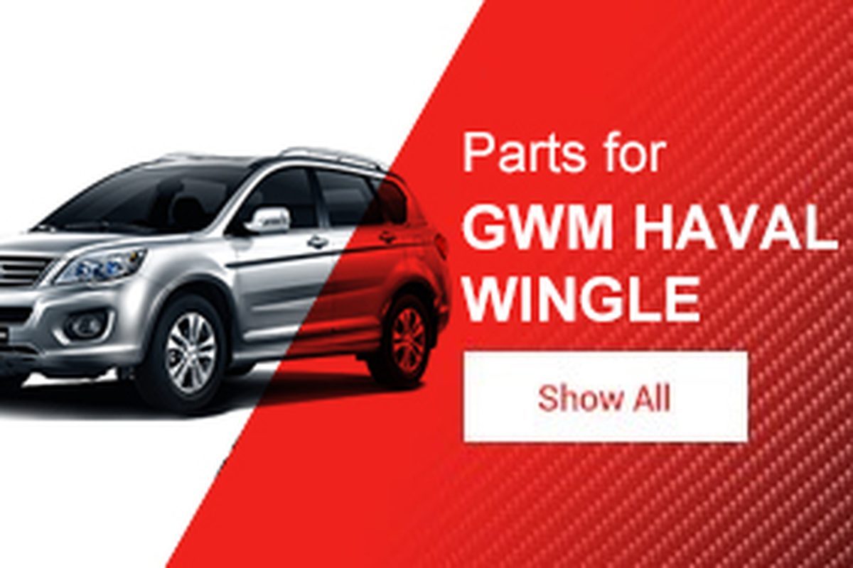 HAVAL / Great Wall model wall