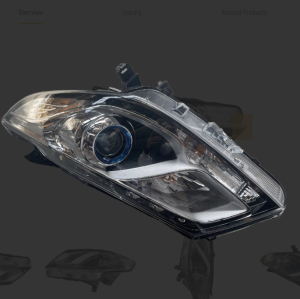 #C00056663 High Brightness Original Offical Genuine Auto Body Parts for MAXUS Car Front Combination Head Lamp/Headlight