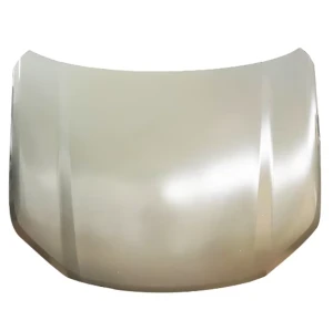 NO.C00049100-4100 Lightweight Original Offical Genuine Auto Body Parts Maxus Car Bonnet Engine hood sheet metal assy