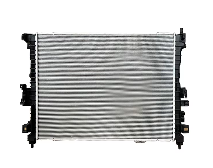 Radiator assembly
