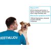 ISENVO Canine Parvovirus CPV Veterinary Diagnostic Tools Animal Hospital Home Testing Kit