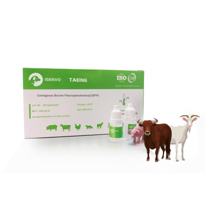 Cattle Contagious Bovine Pleuropneumonia(CBPP) Animal Rapid Test Kit For Ranchs Farms