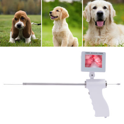 Insemination Kit for Dog Visual Insemination Gun 340mm w/ Adjustable Screen