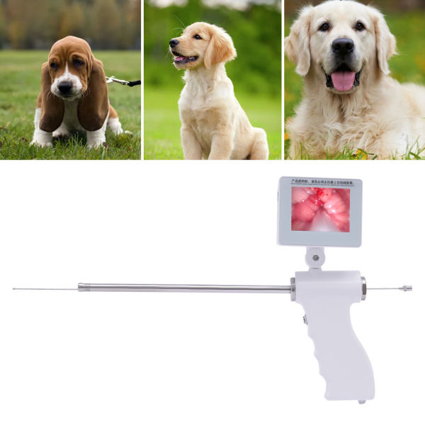 Insemination Kit for Dog Visual Insemination Gun 340mm w/ Adjustable Screen