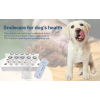 ISENVO Canine Coronavirus Testing  Veterinary Diagnostic Tools Animal Hospital Home Testing Kit Dog Full Detection Reagent Kit