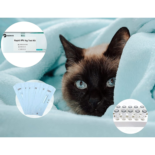 ISENVO Feline Panleukopenia Antigen FPV Veterinary Diagnostic Tools Animal Hospital Home Testing Kit