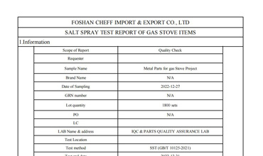 Salt Tpray Test Report