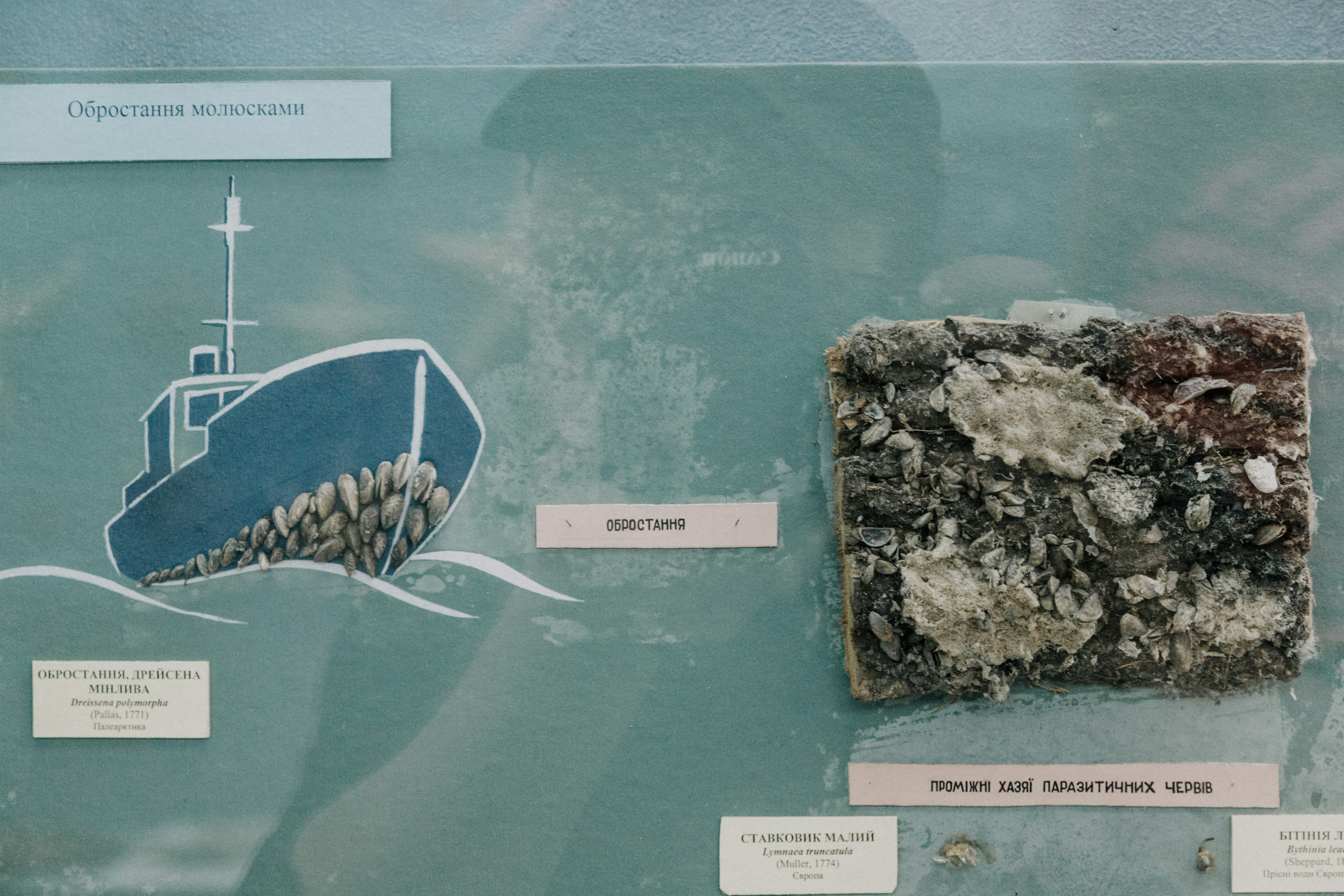 A diagram comparing the heat resistance of sintered stone, quartz, and granite, showing sintered stone as the most durable option.