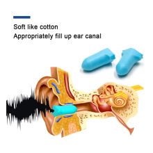 Which Ear Plugs Are Right for Me?