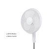 Ventilador 16 Inch Cooling Electric Pedestal Fan | Manufacturer Portable 16 inch Plastic Stand Fan for indoor