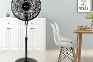 مروحة سيبولوكس ذات الحامل ODM: تخصيص خط إنتاج علامتك التجارية المثالي