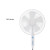 SIBOLUX Manufacturer 16 inch Pedestal Fan With Timer | Household Plastic Cooling Stand Fan