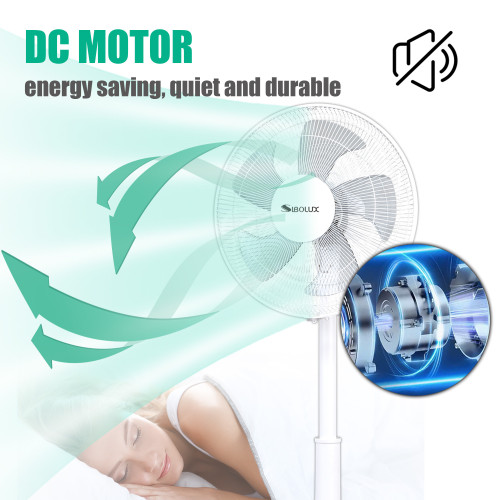 SIBOLUX 14 inch DC 2 In 1 Circulation Fan With Remote | Portable DC Stand Fan | Oscillating DC Circulating Pedestal Fan