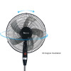 SIBOLUX 16 Inch Oscillating Electric Fan with Round Base | Preferential Powerful Wind 16 inch Standing Fan