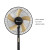 SIBOLUX Wholesale 16 inch Standing Fan High Quality Ventilateur | Popular Plastic Cooling Stand Fan