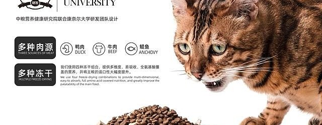 Baby Cat Food