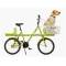 pet bike,environmentally friendly