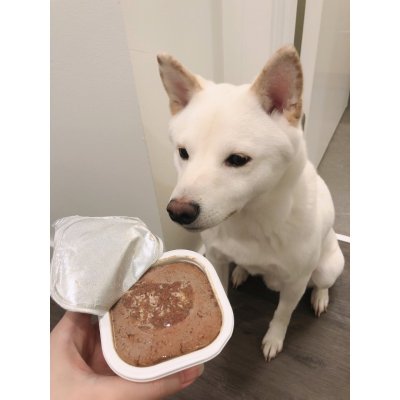 Canned dogCanned dogCanned dog