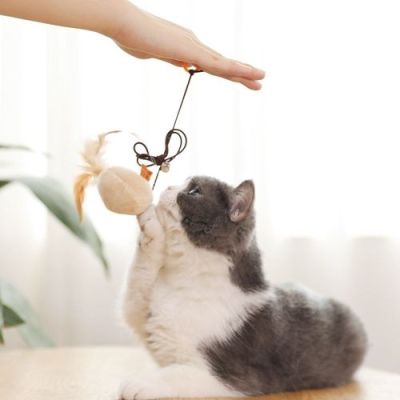 Cat teaser stick Cat teaser stick