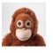 Comfortable soft toys for children