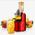 a machine that can quickly press fruits and vegetables into fruit and vegetable juice household