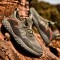 Comfortable and light well versatile outdoor hiking shoes climbing shoes