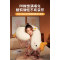 Creative cartoon super soft petal goose doll sleeping throw pillow comfortable cute big goose
