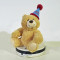 Birthday bear doll Plush toy cute teddy bear claw comfortable machine